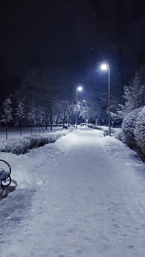 Handheld Tracking Shot of Falling Snow in Winter Park at Night Stock Footage 329559401