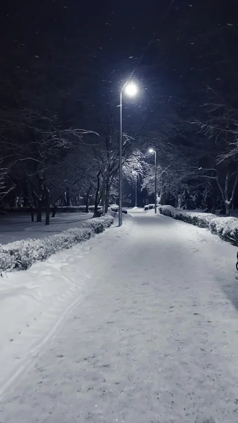 Handheld Tracking Shot of Winter Park at Night with Falling Snow Video stock 327793246