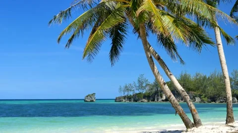 Handheld UHD shot of palm trees by the sea at the tropical white sand beach Video stock 63310960
