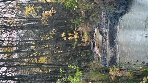 Handheld vertical fall winter Stock Footage 255659506