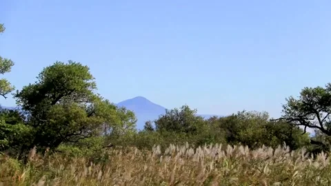 Handheld video clip of driving through Japanese landscape on a sunny day Stock Footage 152971009