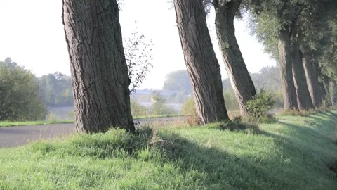 Handheld video of a cyclist driving by next to a riverside Stock Footage 243351815