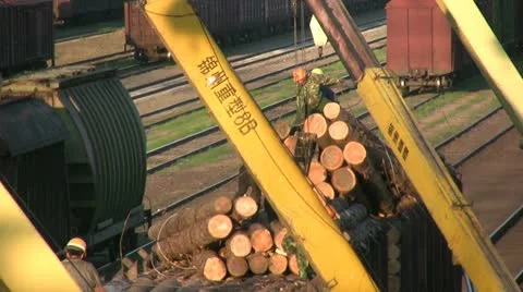 Handheld video of workers unloading timb... | Stock Video | Pond5