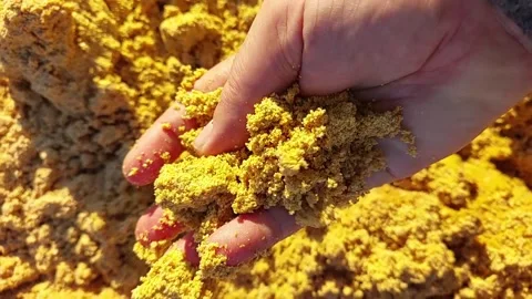 Handheld View of Grain Bard Waste DDGS Being Examined for Quality and Textu.. Stock Footage 345365118