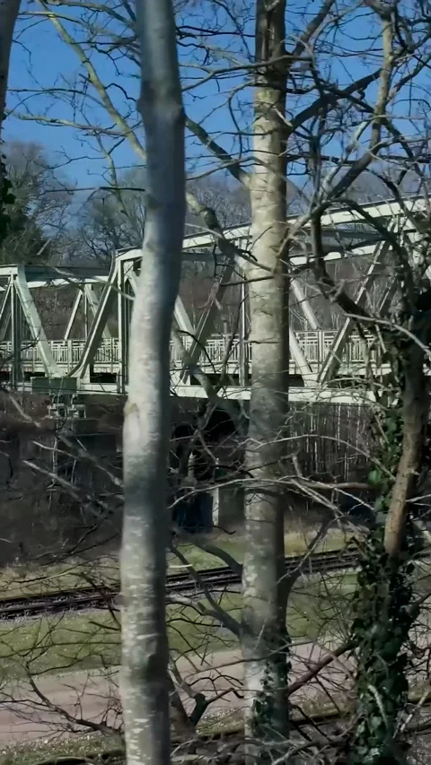 Handheld view passing a railroad truss bridge Stock Footage 334423188