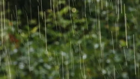 Handheld View of Rainfall with Sunlit Droplet Streaks and Blurred Green Forest 2 Stock Footage 321924849