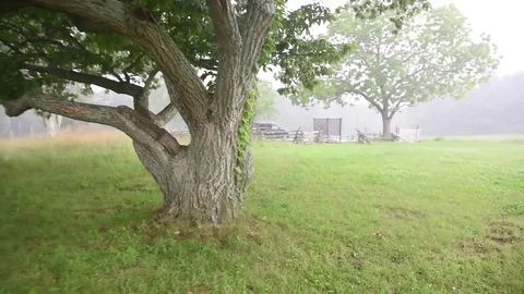 Handheld walking through field in heavy rain Stock Footage 76231701