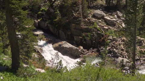 Handheld Waterfall in the Forest Stock Footage 251340954