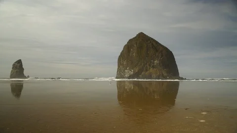 Handheld wide low angle of Haystack Rock with seagulls walking 2 uncolored Stock Footage 102417503