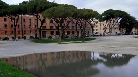 Handheld wide shot of the Circus Maximus in Rome, Italy Stock Footage 303604773