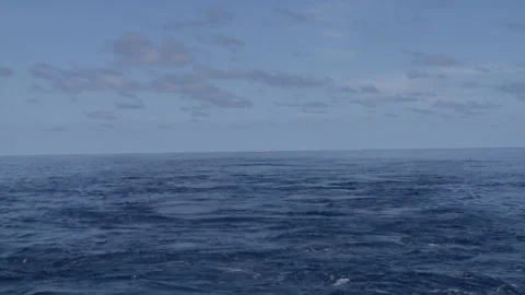 Handheld zoom in of two men kayaking Stock Footage 310539861