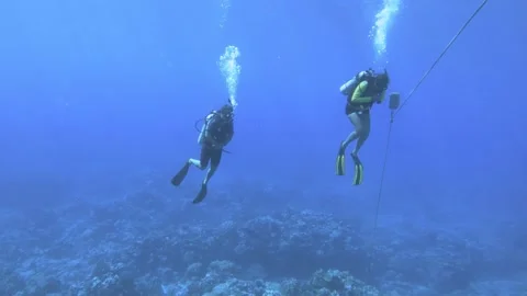 Handhold still slow motion view to divers diving at the bottom of the ocean with Stock Footage 259465344