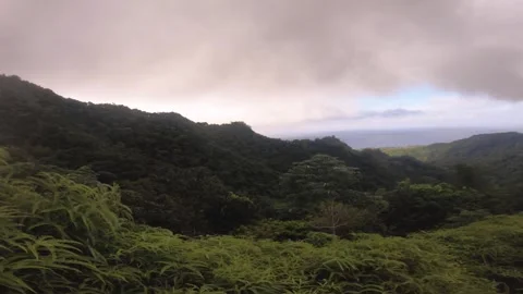 Handhold walking view of look out to pacific ocean from top of the mountain with Stock Footage 253057585