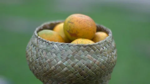 Handicrafts Stock-Footage 272963013