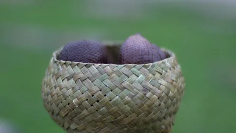 Handicrafts Video stock 272969064