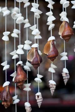 Handicrafts produced by the shell wall Stock Photos