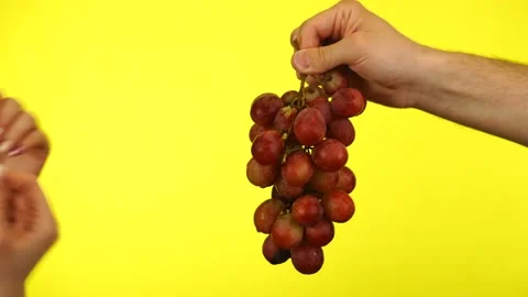 Handing over the vine from hand to hand Stock Footage 153536779
