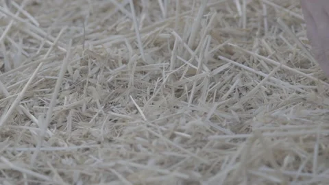 Handle and hand Video stock 151872951