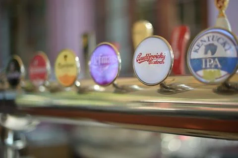 Handle of draft beer on bar counter Foto stock