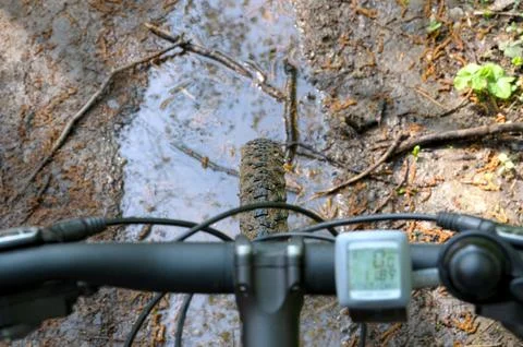 Handlebar and speedometer Stock Photos
