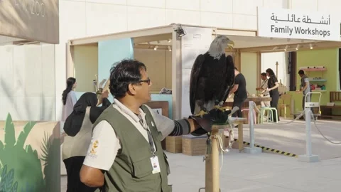 A handler from Al Ain Zoo holds a bald eagle at Al Hosn Festival in Abu Dhabi Видео 331389889