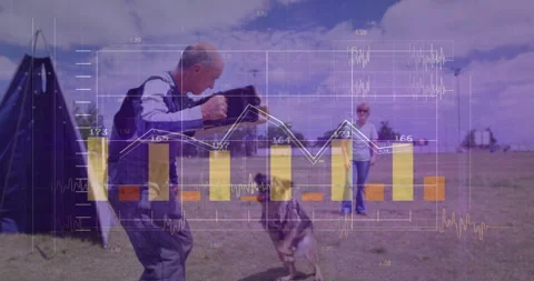 Handler giving release command dog charging bite sleeve trainer rotating grip in Stock Footage 314095776