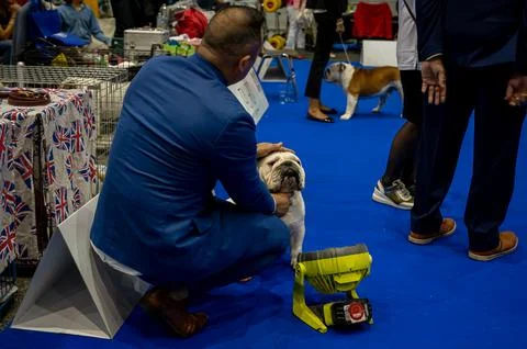 Handler presenting dog during World dog show. Geneva, Switzerland. Stock Photos