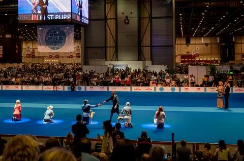 Handler presenting dog during World dog show. Geneva, Switzerland. Stock Photos