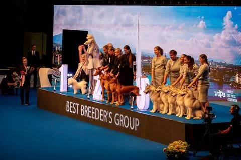 Handler presenting dog during World dog show. Geneva, Switzerland. Stock Photos