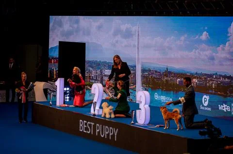 Handler presenting dog during World dog show. Geneva, Switzerland. Stock Photos