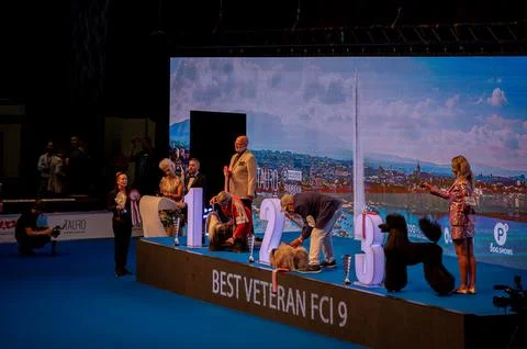 Handler presenting dog during World dog show. Geneva, Switzerland. Stock Photos