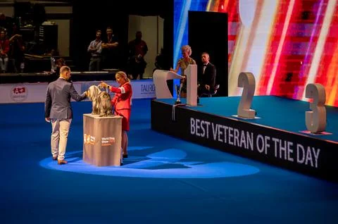 Handler presenting dog during World dog show. Geneva, Switzerland. Stock Photos