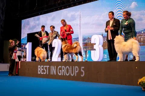 Handler presenting dog during World dog show. Geneva, Switzerland. Stock Photos