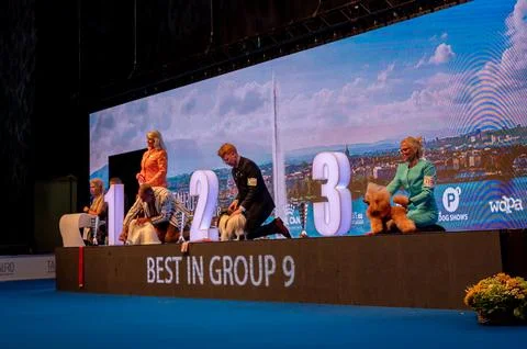 Handler presenting dog during World dog show. Geneva, Switzerland. Stock Photos