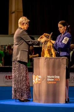 Handler presenting dog during World dog show. Geneva, Switzerland. Stock Photos