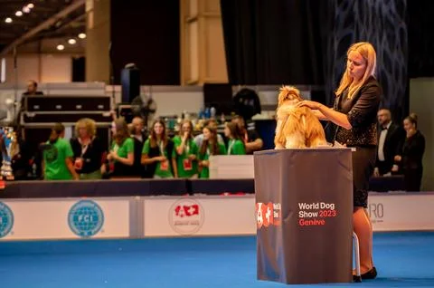 Handler presenting dog during World dog show. Geneva, Switzerland. Stock Photos