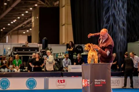 Handler presenting dog during World dog show. Geneva, Switzerland. Stock Photos