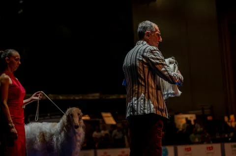 Handler presenting dog during World dog show. Geneva, Switzerland. Stock Photos