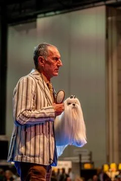Handler presenting dog during World dog show. Geneva, Switzerland. Stock Photos