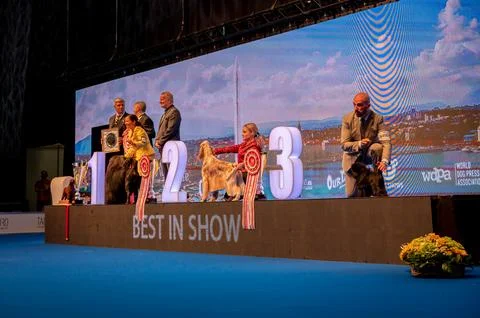 Handler presenting dog during World dog show. Geneva, Switzerland. Stock Photos