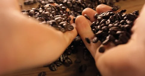 Handling And Dropping  Fallen Delicious Coffee Beans On A Rustic Wooden Table Stock Footage 113372768