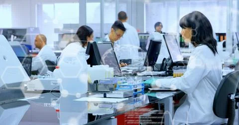Handling sample trays, using computer woman lab tech wearing white coat nitrile Foto stock