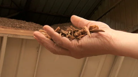 Handling sawdust Stock Footage 41053696