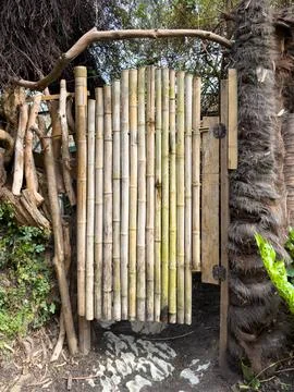 Handmade bamboo gate framed by thick tree trunks and lush plants 写真素材