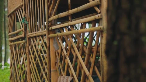 Handmade Bamboo Structure in Forest with Blurred Tree Foreground Stock Footage 333321447