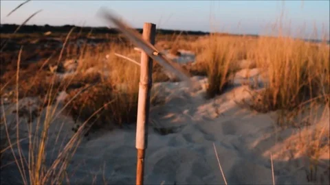 Handmade Bamboo Windmill Turns in the gentle Beach Breeze at Sunset Stock Footage 85233188
