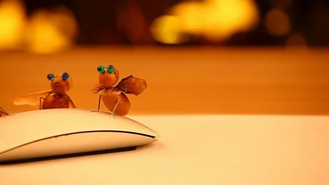 Handmade bee acorn table computer mouse hd footage Stock Footage 95683214