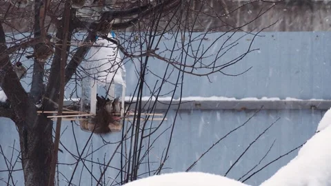 Handmade bird feeder from plastic bottle. Helping and feeding birds in winter. Stock Footage 261494669