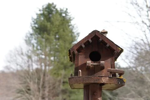 Handmade birdhouse. Stock-Fotos