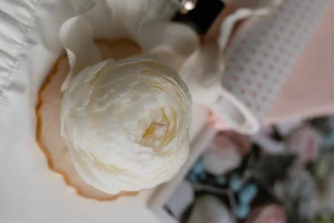 Handmade candle in the shape of a flower on a light background, space for text Stock Photos